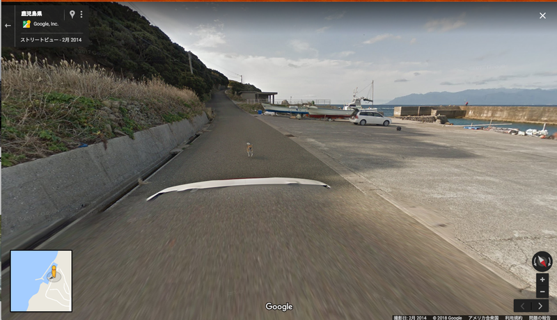 Illustration for article titled Good Dog's Great Day Immortalized By Google Street View